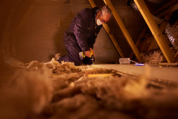 Best Spray Foam Insulation  in San Martin, CA